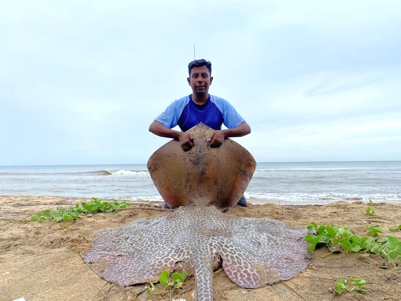Stingray Catch
